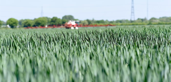 Trials data shows impressive yield advantage for UnivoqTM fungicide