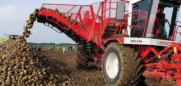 First ever sugar beet pricing platform launched